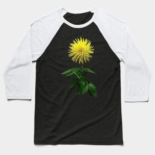 Yellow Dahlia Inland Dynasty Baseball T-Shirt